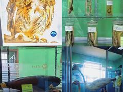 -辽宁大学(崇山校区)