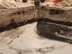 -熊猫不走生日蛋糕(东城店)