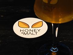 -蜜和麦精酿啤酒吧honey&malt(桐梓林店)