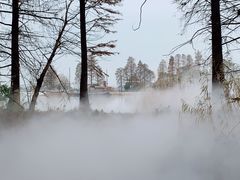 -东湖落雁景区