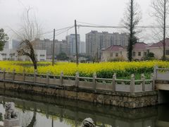 -安亭老街