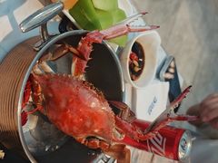 -半岛听涛蒸汽海鲜自助(K11店)