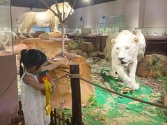 -陕西自然博物馆