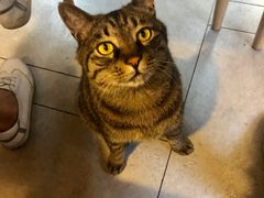 -螺大蛳柳州螺蛳粉·火锅·热干面(西城永捷店)