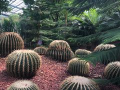 -呀路古热带植物园