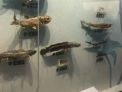 -扬州科技馆