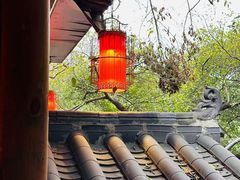 -古真记钵钵鸡(总店)