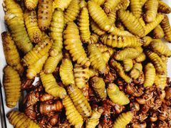 -映像威海·海鲜味道(经区店)