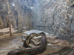 -沈阳森林动物园