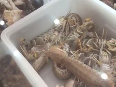-吕四渔港码头海鲜餐厅