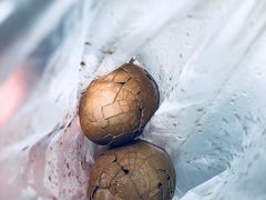 -金盆阿嬷香菇茶叶蛋(玄光店)