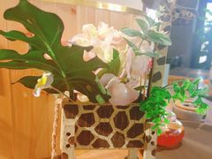 -卡普里披萨·牛扒·下午茶