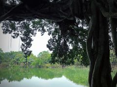 -小洲村