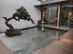 -觀芷隐轩