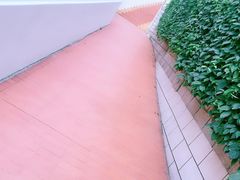 -厦门鸿山寺