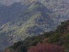 -龙道沟景区