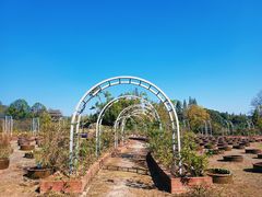 -杭州植物园
