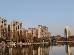 -洋湖国家湿地公园