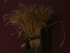 -苹果树下艺术餐厅(通州店)