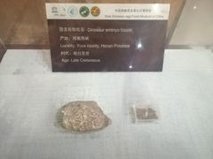 -中国西峡恐龙遗迹园
