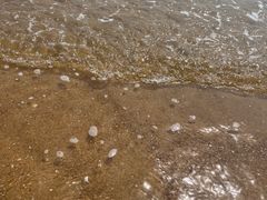 -东疆理想海岸沙滩景区