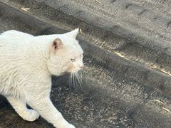 -北京市劳动人民文化宫(太庙)