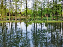 -东湖生态旅游风景区