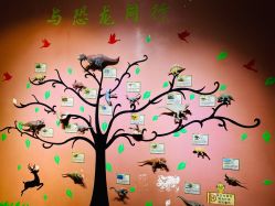 -酷嗒动物文化乐园(cutezoo西溪乐天城店)