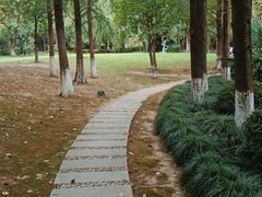 -苏州河梦清园环保主题公园