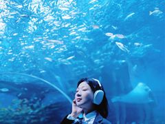 -海合安成都极地海洋公园