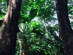 iphone_upload_pic-七仙岭君澜度假酒店