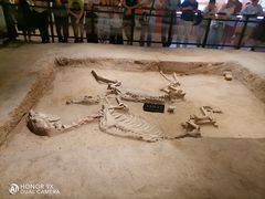 -洛阳周王城天子驾六博物馆