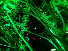 -苏州河梦清园环保主题公园