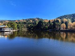 -庐山风景区花径公园