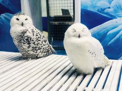 -成都浩海立方海洋公园