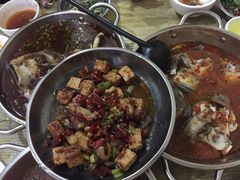 -风鑫铃罗非鱼(道沟店)