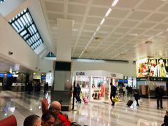 -米兰马尔彭萨国际机场