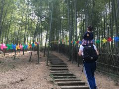 -宁波浙东大竹海景区