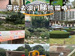 -石排湾郊野公园