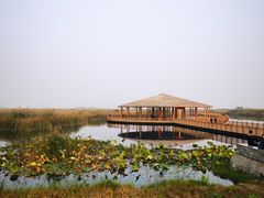 -白洋淀风景区