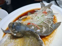 清蒸武昌鱼-简小舍·民间手艺菜(武昌江滩店)