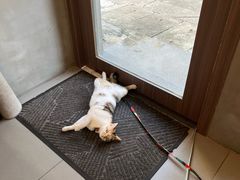 -Again Coffee Roaster(香蜜湖店)