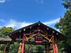 -云南民族村