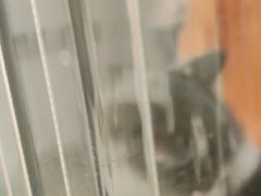 -屋虎猫馆(宝安大仟里店)