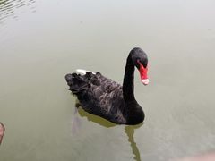 -长兴太湖图影湿地文化园