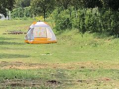 -武汉紫薇都市田园