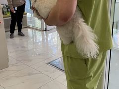 -艾吉宠物医院·疑难杂症转诊中心·猫友好(碧江路院)