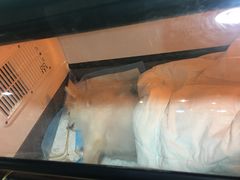 -瑞派宠物医院(锦江店)