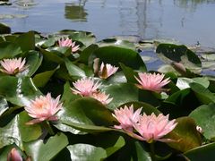 -池杉湖湿地公园