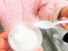 -洪馨椰子